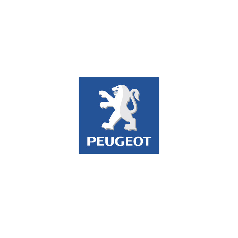 Peugeot GodFlex Bushes