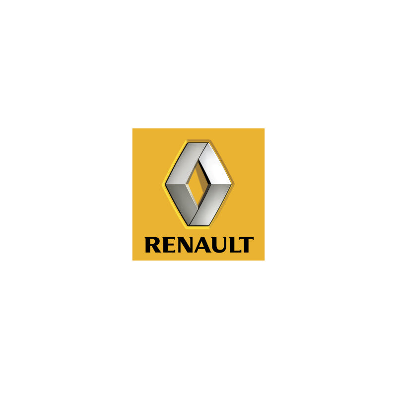 Renault Eibach Coilovers