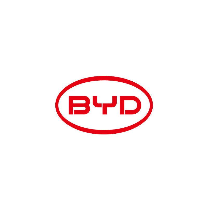 BYD Maxton