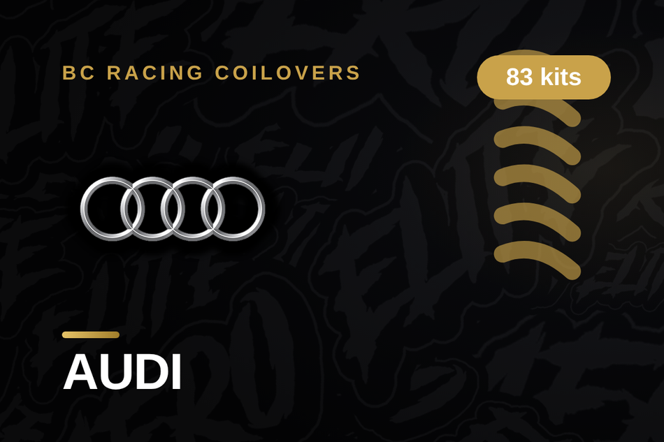 AUDI BC Racing Coilovers