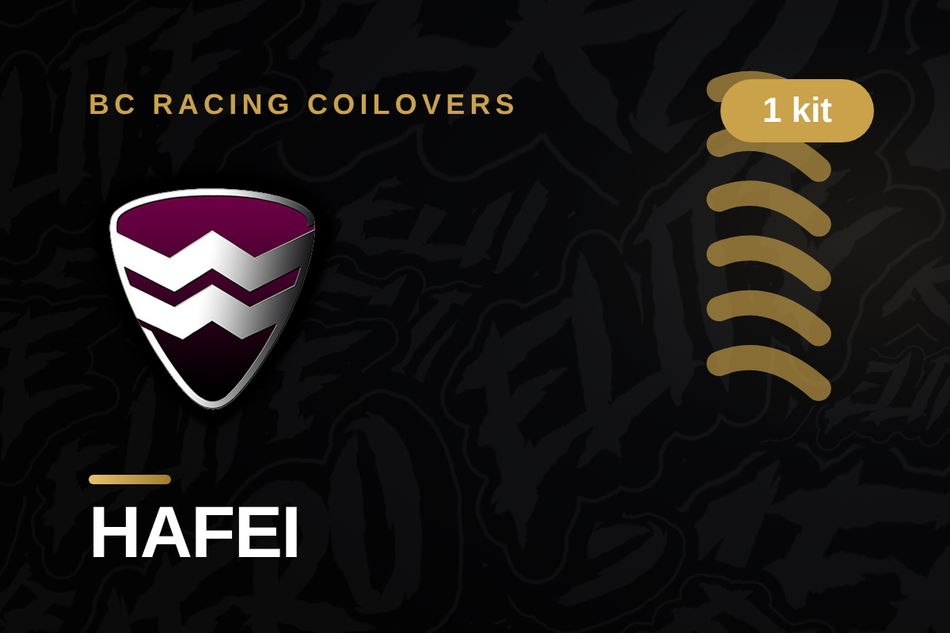 HAFEI BC Racing Coilovers