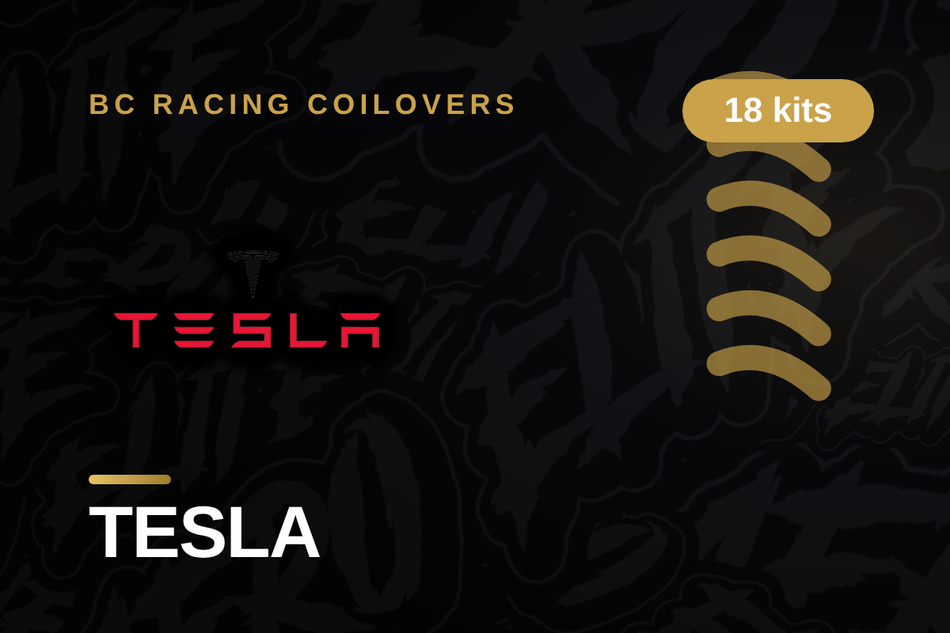 TESLA BC Racing Coilovers