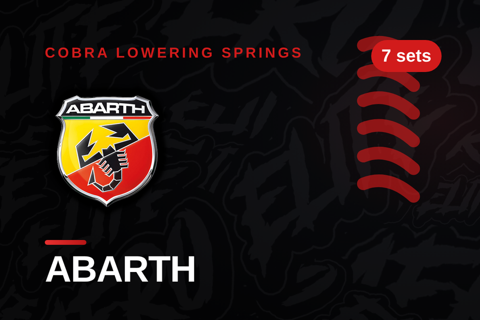 Abarth Lowering Springs