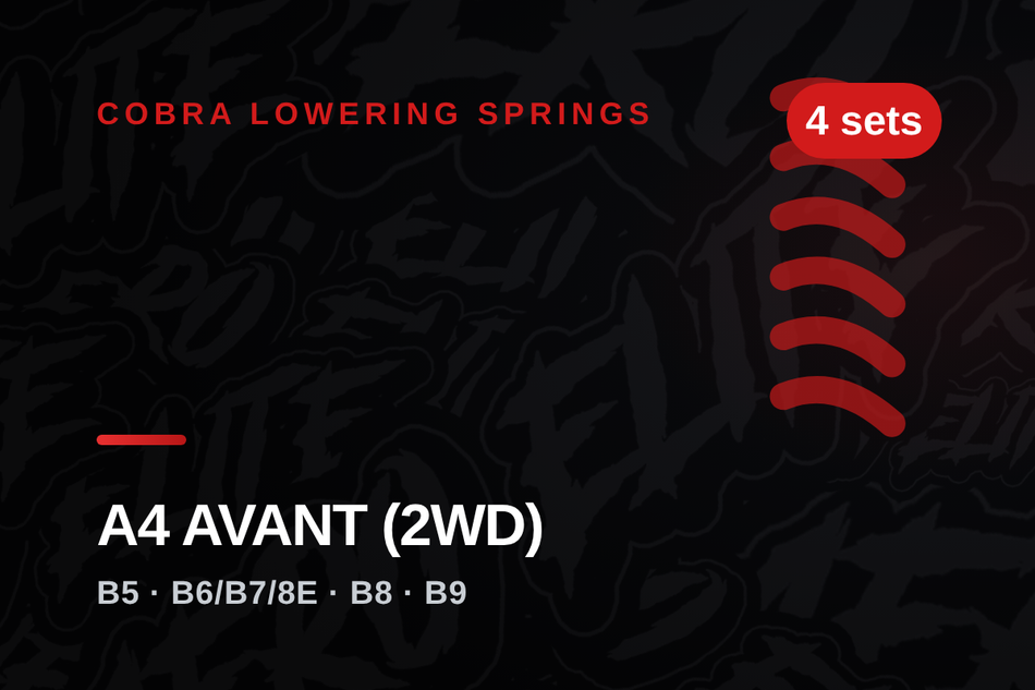 cobra-audi-a4-avant-2wd