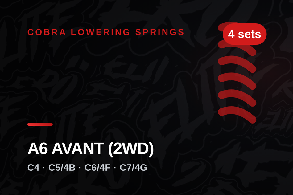 cobra-audi-a6-avant-2wd