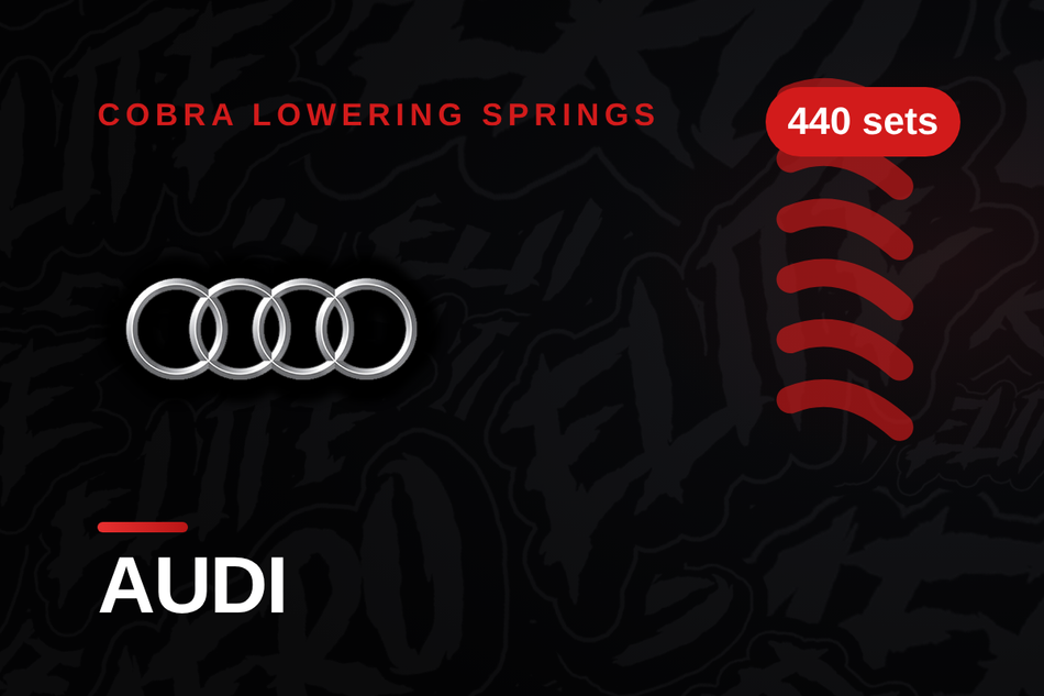 Audi Lowering Springs