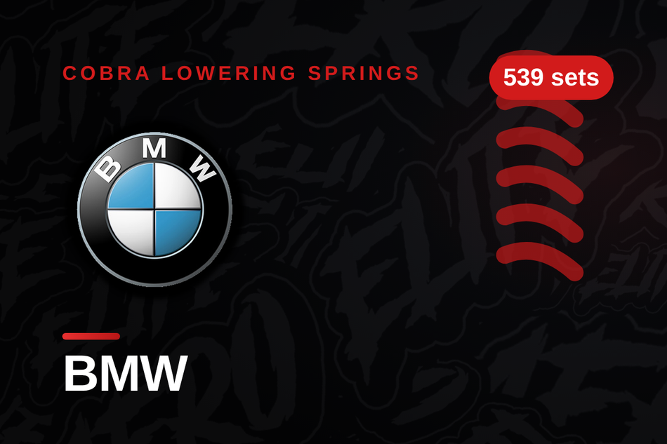 BMW Lowering Springs