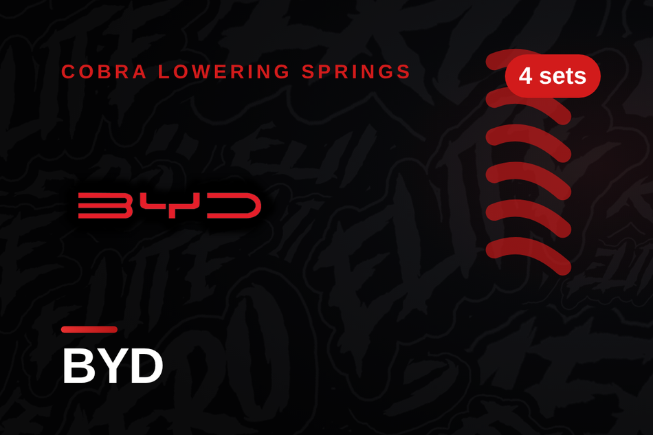 BYD Lowering Springs