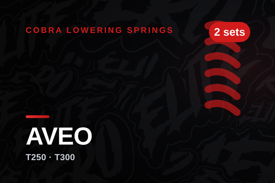 cobra-chevrolet-aveo