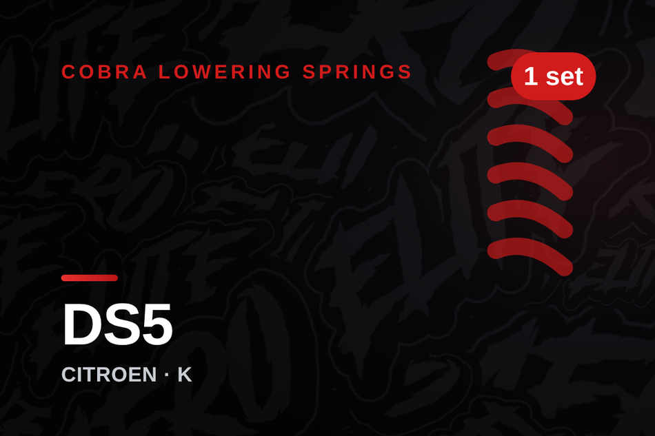 cobra-citro-n-ds5