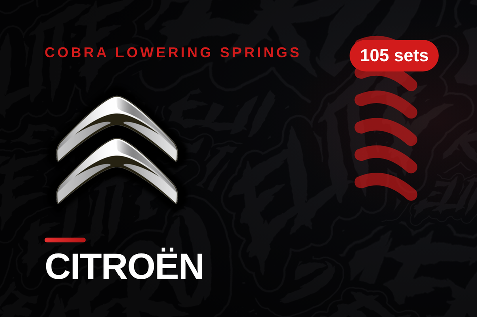 Citroën Lowering Springs