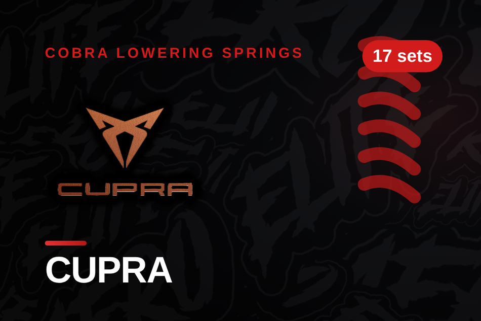Cupra Lowering Springs