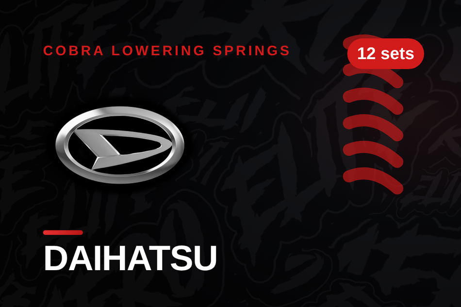 Daihatsu Lowering Springs
