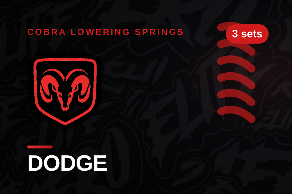 Dodge Lowering Springs