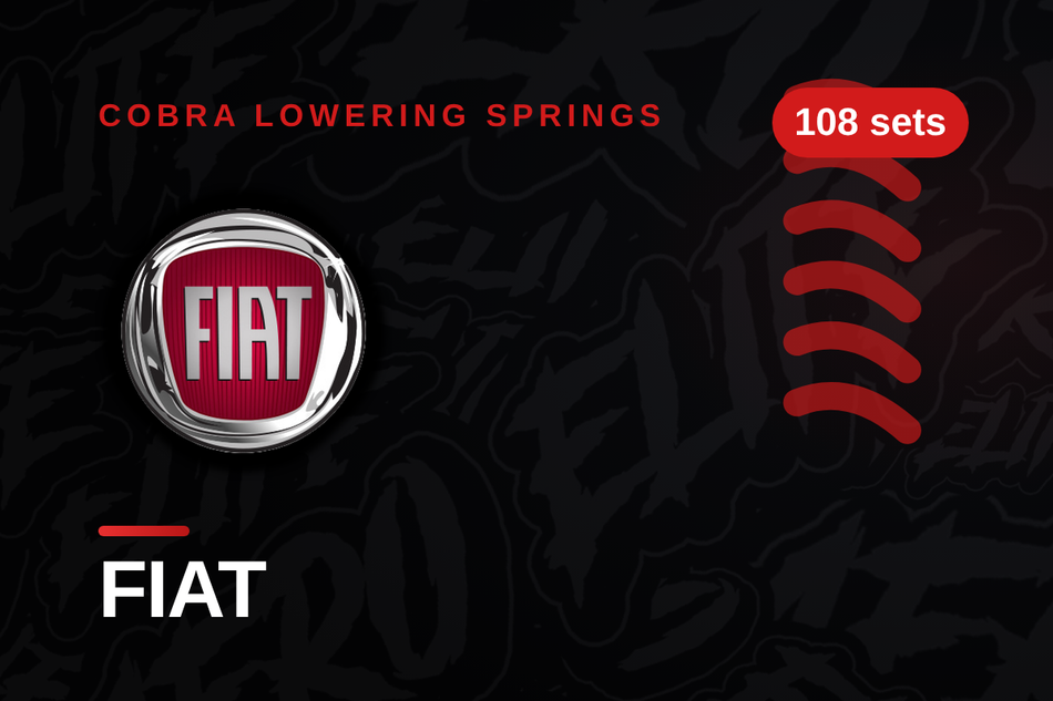 Fiat Lowering Springs