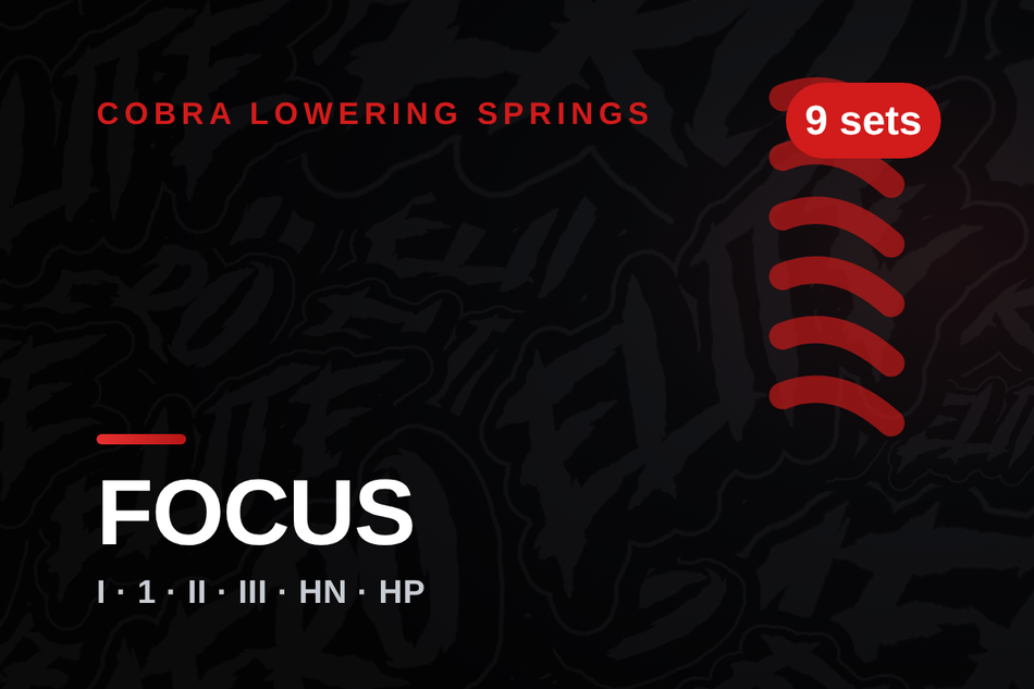 cobra-ford-focus