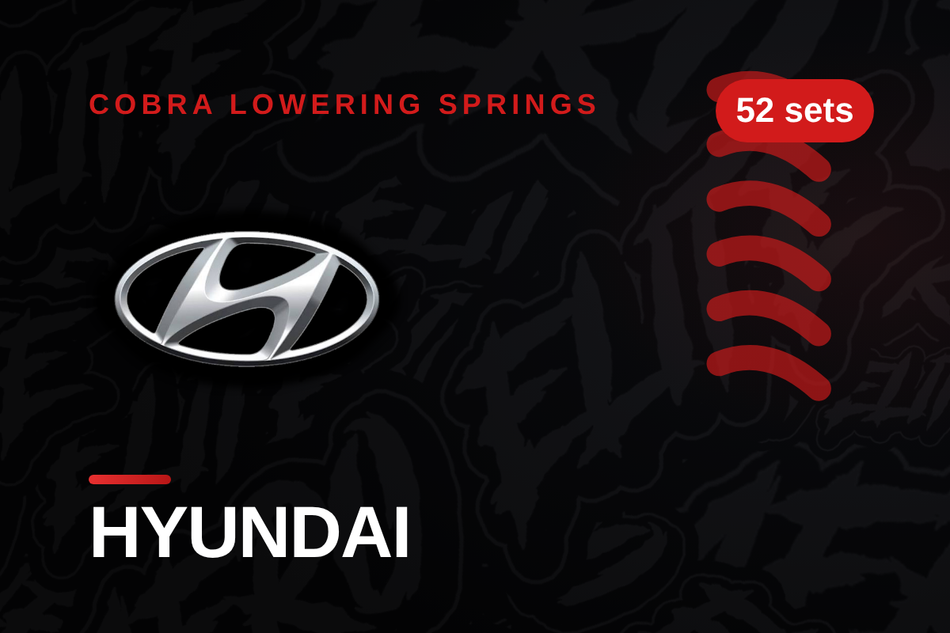 Hyundai Lowering Springs