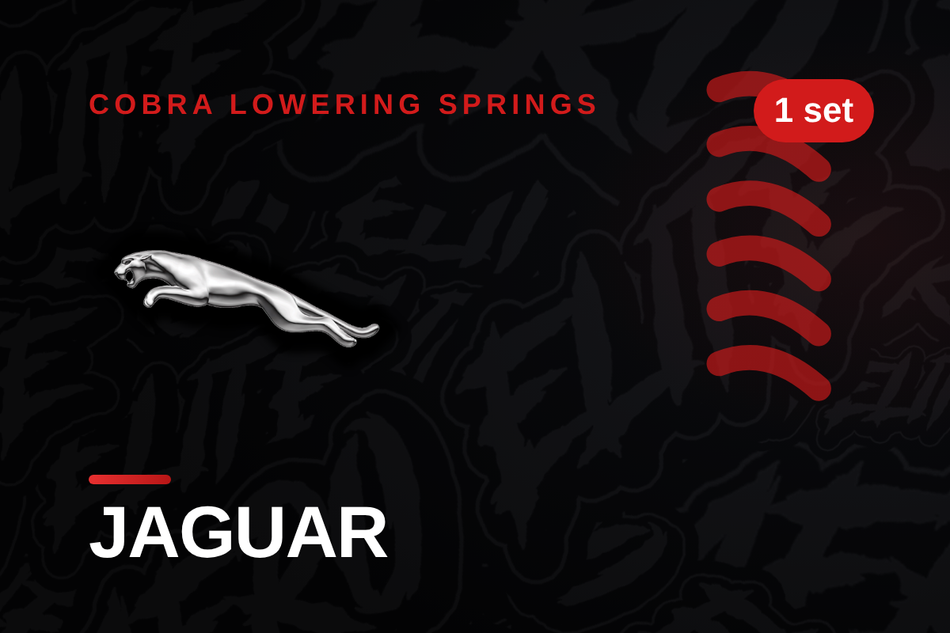 Jaguar Lowering Springs
