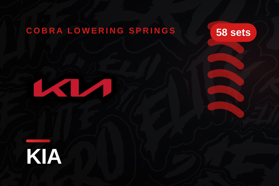 Kia Lowering Springs