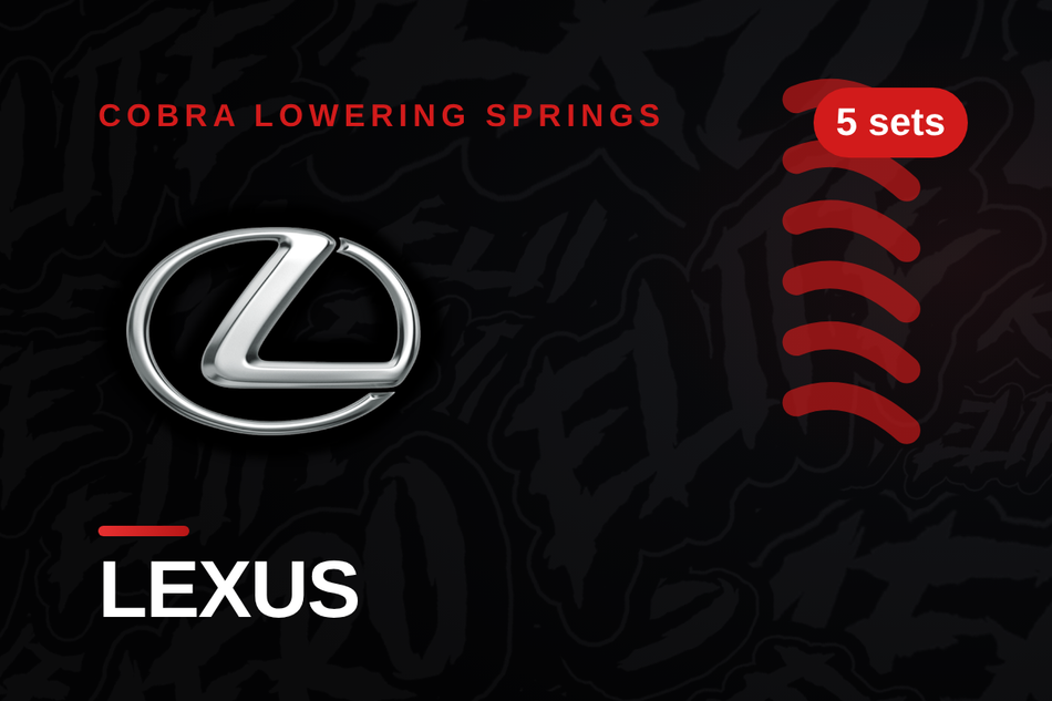 Lexus Lowering Springs