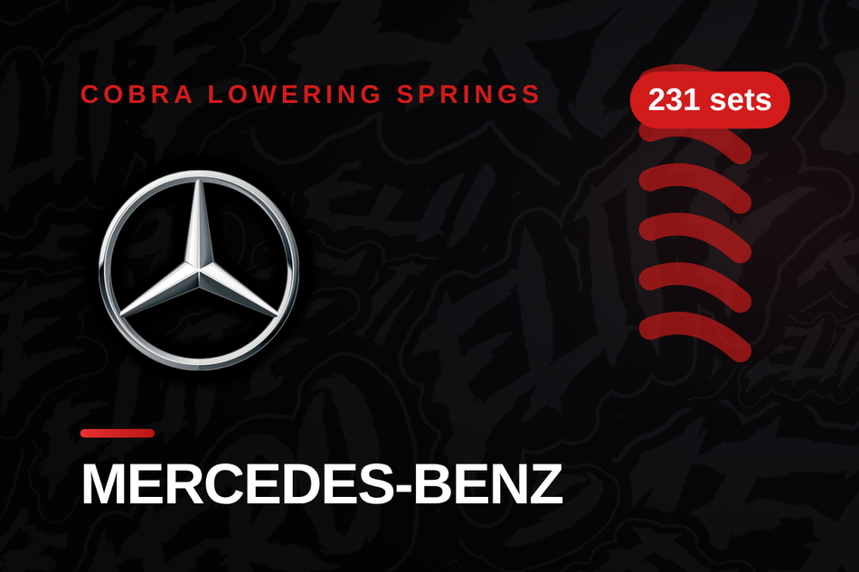 Mercedes-Benz Lowering Springs