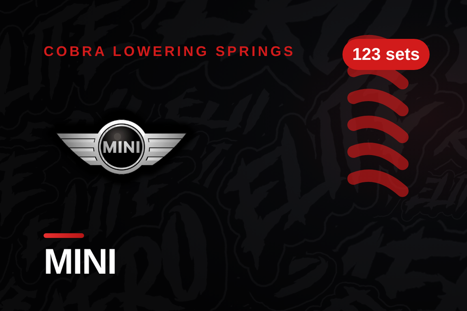 Mini Lowering Springs