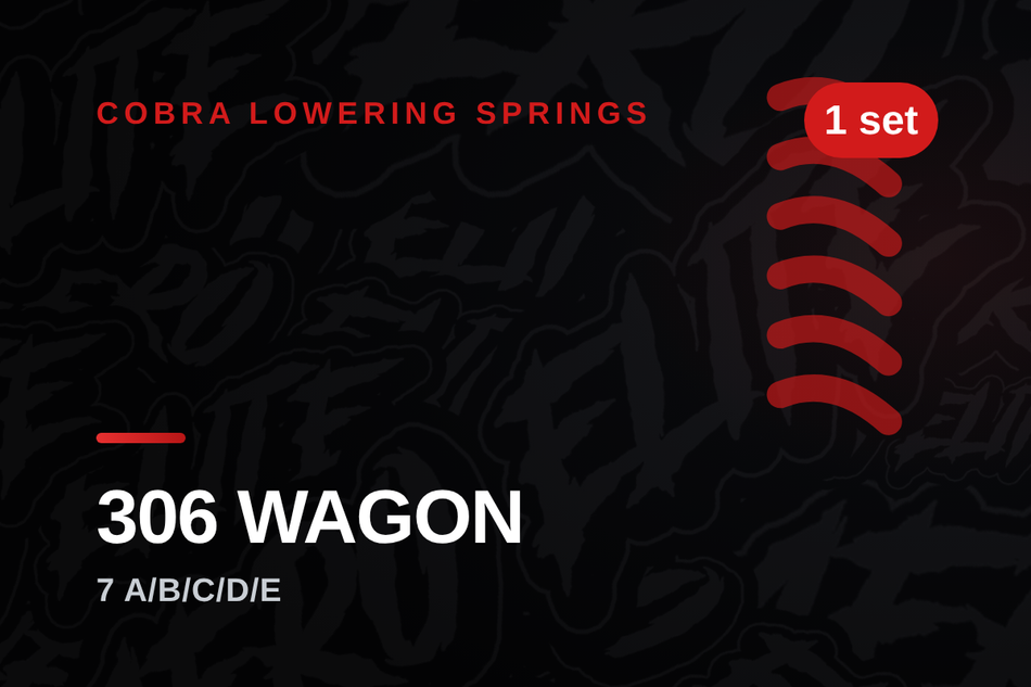 cobra-peugeot-306-wagon