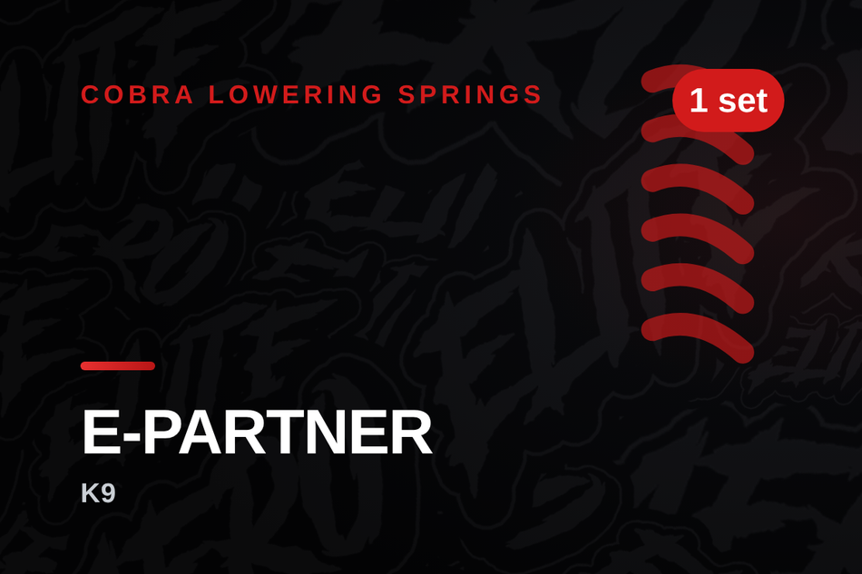 cobra-peugeot-e-partner