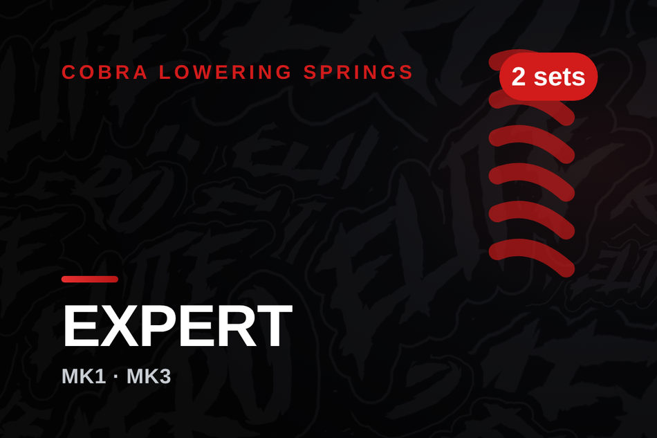 cobra-peugeot-expert