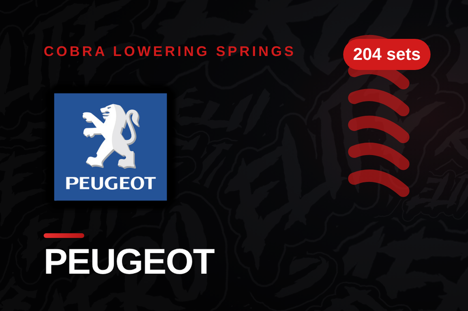 Peugeot Lowering Springs