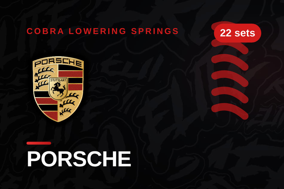 Porsche Lowering Springs