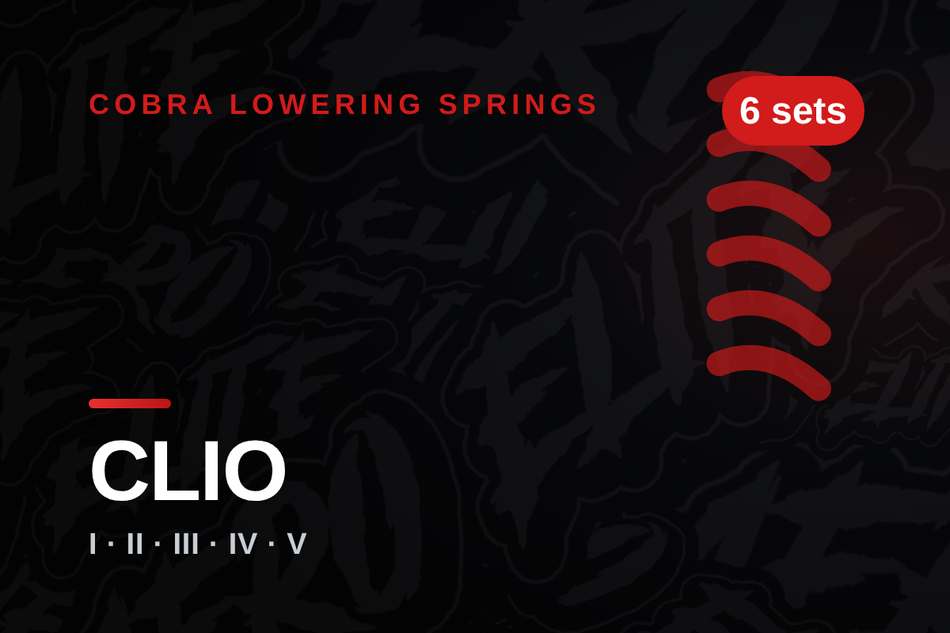 cobra-renault-clio