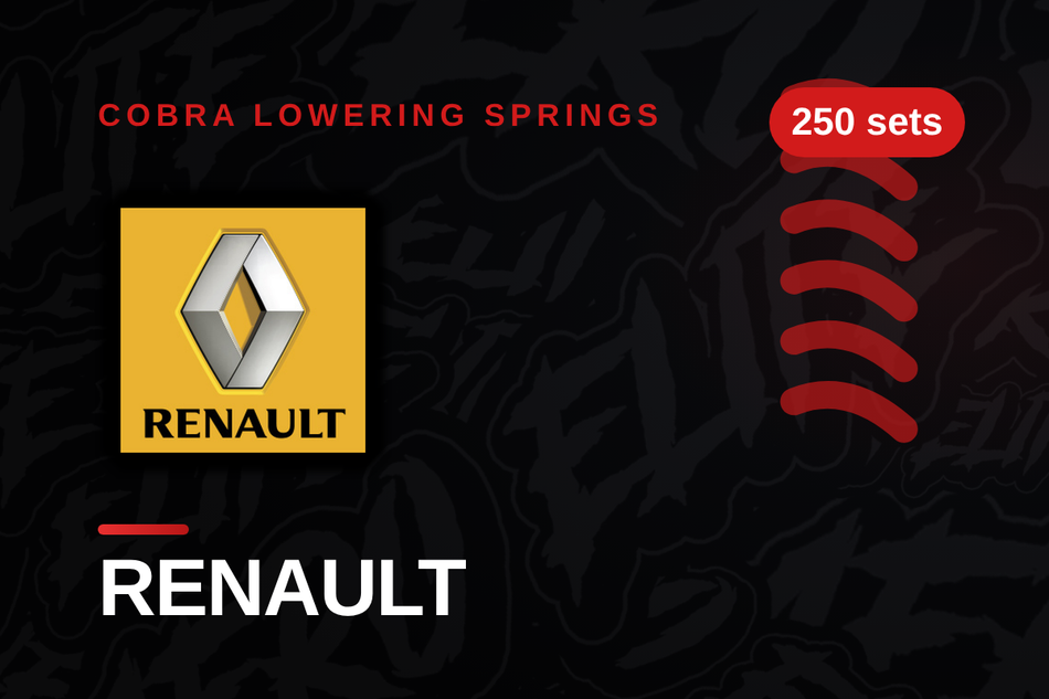 Renault Lowering Springs