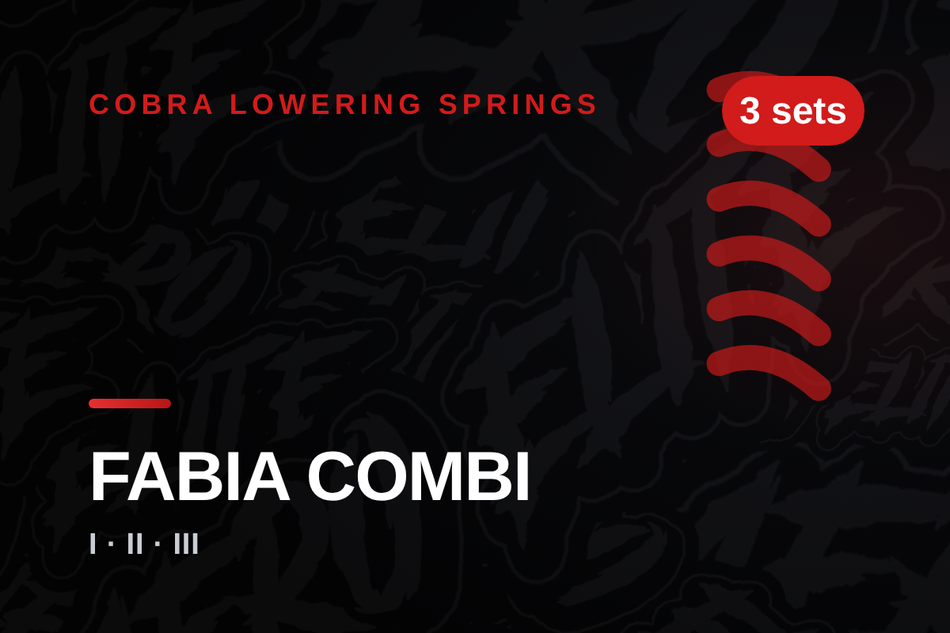 cobra-skoda-fabia-combi