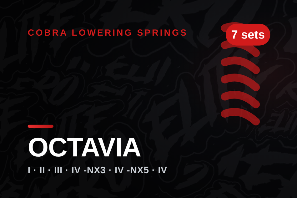 cobra-skoda-octavia