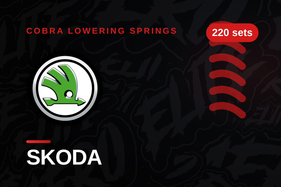 Skoda Lowering Springs