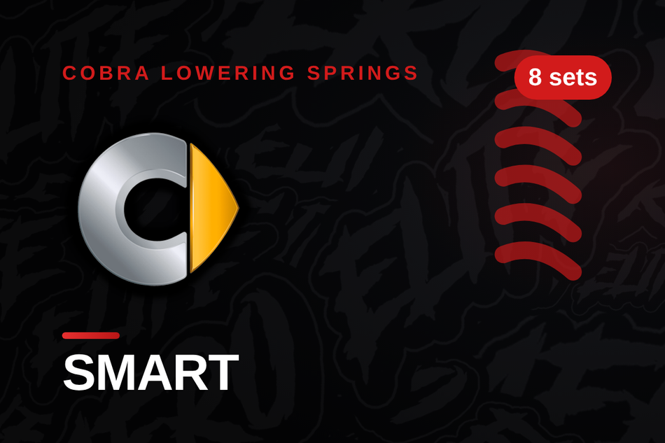 Smart Lowering Springs