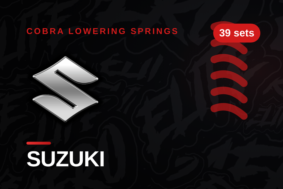 Suzuki Lowering Springs