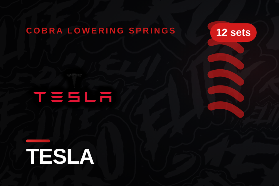 Tesla Lowering Springs