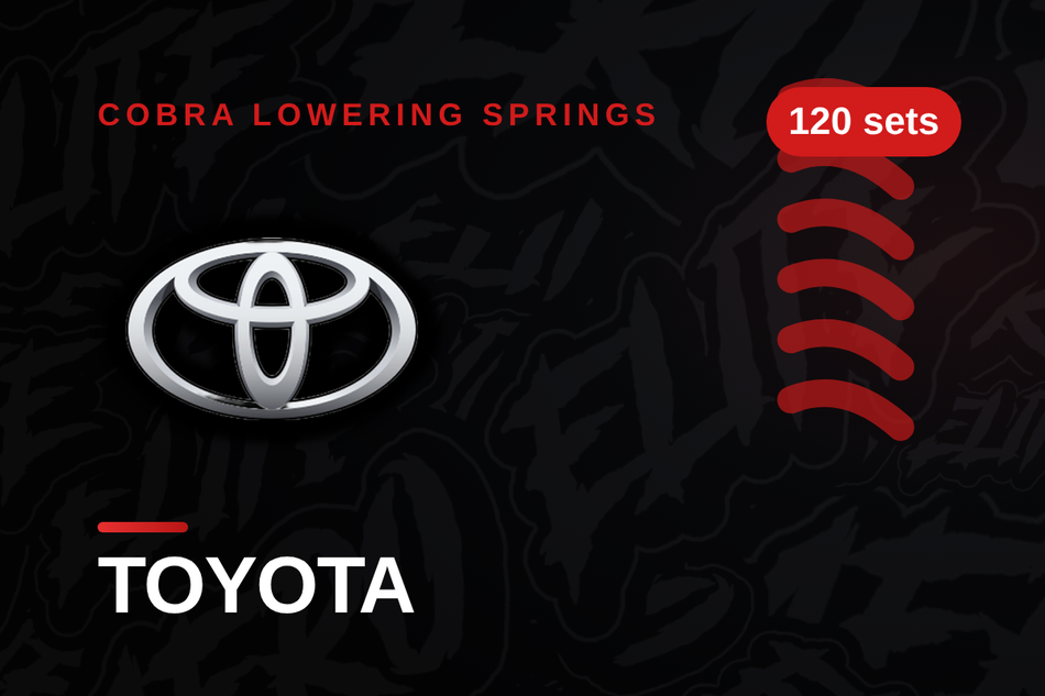 Toyota Lowering Springs