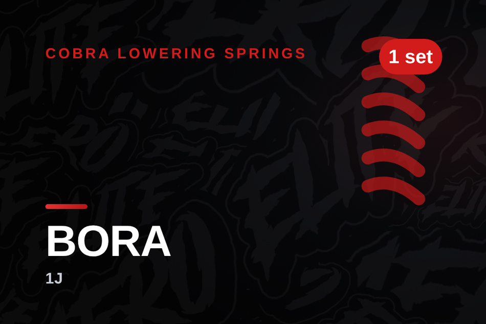 cobra-volkswagen-bora