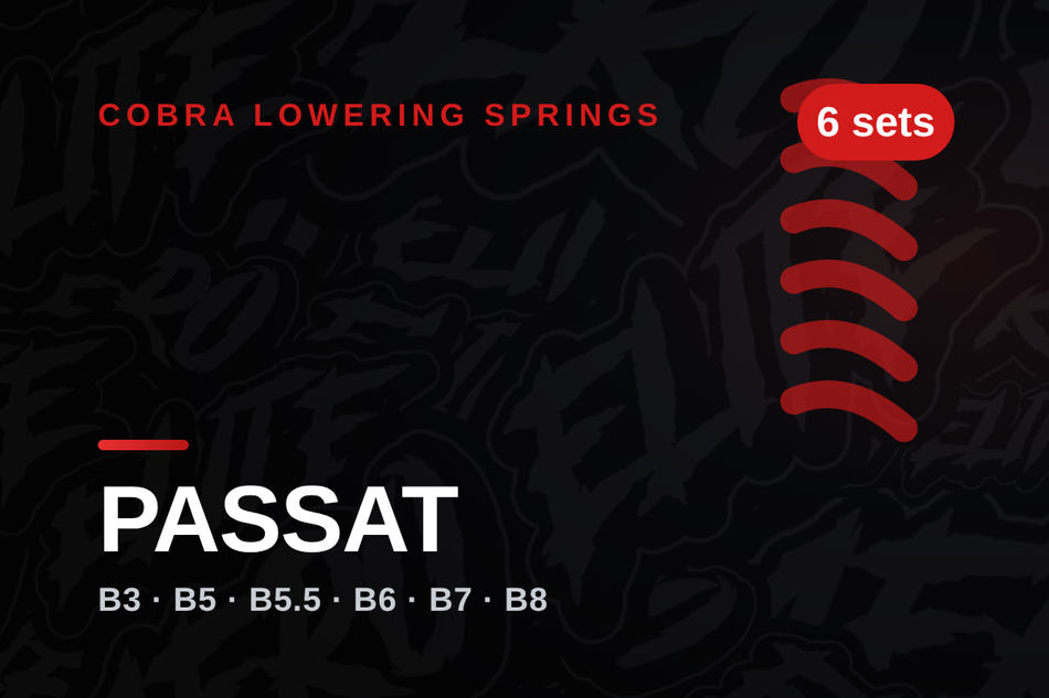 cobra-volkswagen-passat