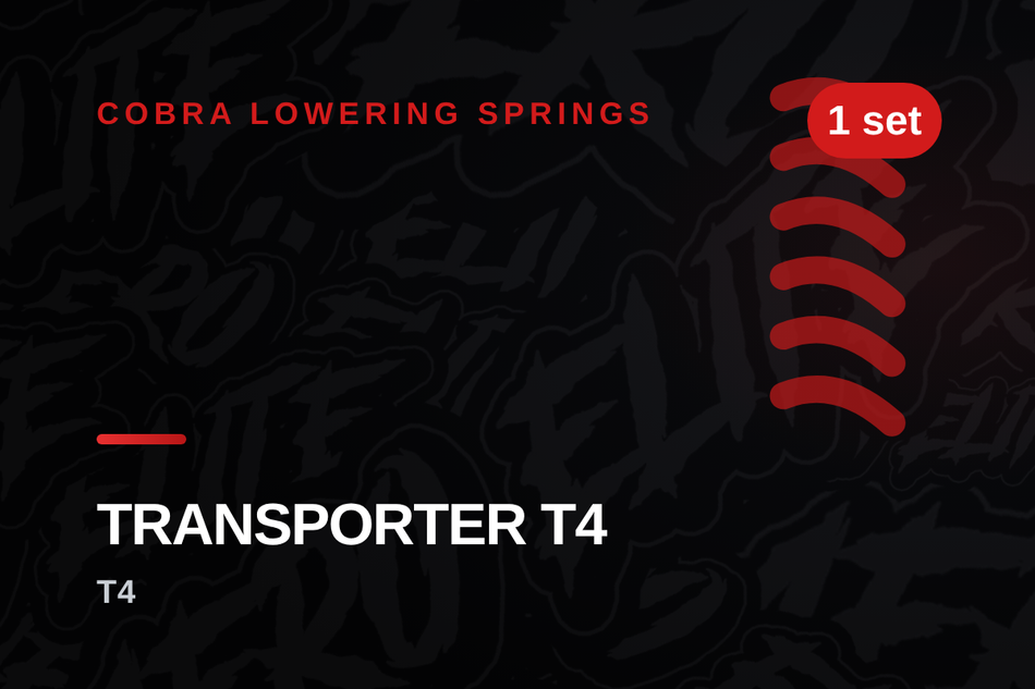 cobra-volkswagen-transporter-t4