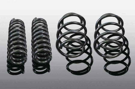 AC Schnitzer suspension spring kit for BMW X3 G01 (3130301110)