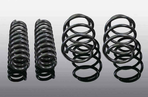 AC Schnitzer suspension spring kit for BMW X4 G02 (3130301110)