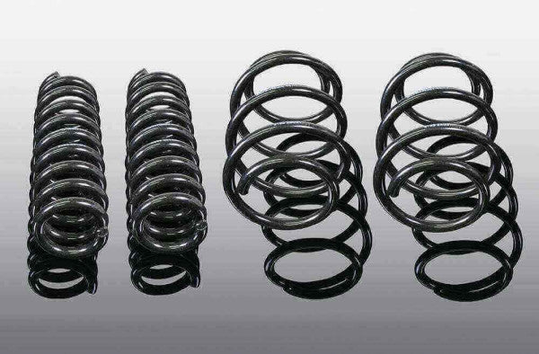 AC Schnitzer suspension spring kit for BMW X3 G01 (3130301310)