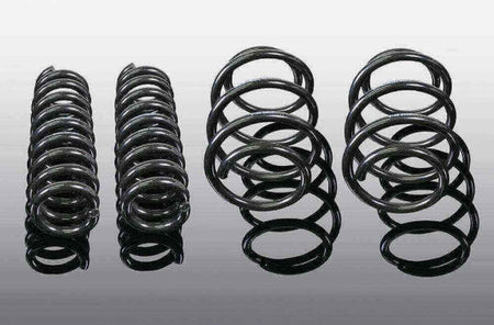 AC Schnitzer suspension spring kit for BMW X3 G01 (3130301310)