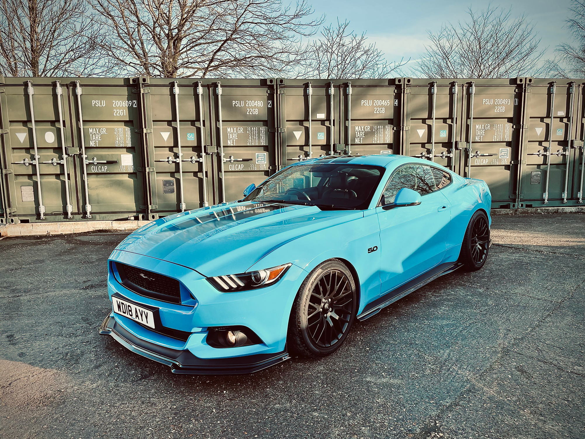 Ford Mustang 2.3L Ecoboost - Side Skirt Splitters