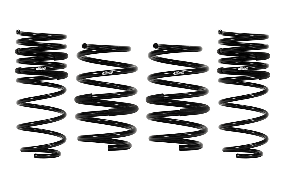 Eibach USA PRO-KIT, CHRYSLER 300 C  2005 to 2008 (2873.140)