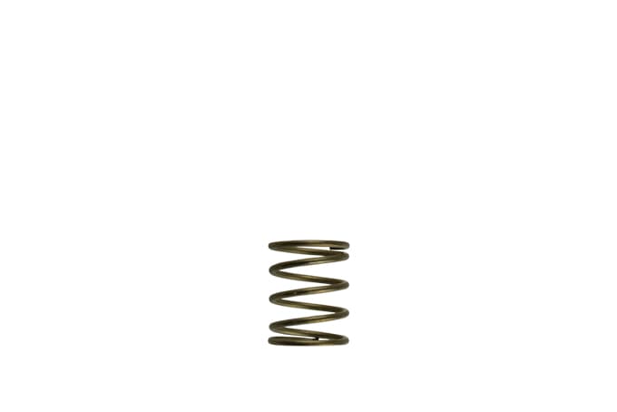 Turbosmart GenV WG45/50 3psi Orange Inner Spring (TS-0550-3085)